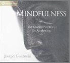 Goldstein, Joseph Goldstein - Mindfulness audio CD (Hörbuch)