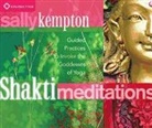 Sally Kempton - Shakti Meditations audio CD (Audio book)