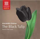 Dumas Alexandre, Alexandre Dumas, Peter Joyce - Black Tulip (Hörbuch)