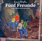 Enid Blyton, Oliver Mink, Oliver Rohrbeck - Fünf Freunde in der Höhle des Urmenschen, 1 Audio-CD (Audiolibro)