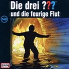 Oliver Rohrbeck, Jens Wawrczeck - Die drei ??? und die feurige Flut, 1 Audio-CD (Audio book)