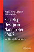 Massim Alioto, Massimo Alioto, Eli Consoli, Elio Consoli, Gaetano Palumbo - Flip-Flop Design in Nanometer CMOS