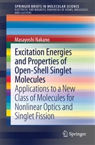 Masayoshi Nakano - Excitation Energies and Properties of Open-Shell Singlet Molecules