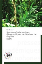 Irène Boucher, Boucher-i - Systeme d informations