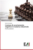 Mattia Garavaglia - L'azione di accertamento negativo in materia industriale