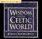 John O'Donohue - Wisdom from the Celtic World (Audiolibro)