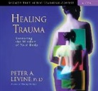 Peter A. Levine - Healing Trauma (Audio book)