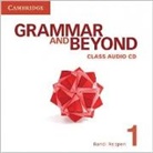 Randi Reppen, Randi (Northern Arizona University) Reppen - Grammar and Beyond Level 1 Class Audio CD (Audio book)