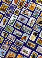 Einsteckbuch HOBBY DIN A4, 16 weiße Seiten, blau