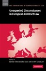 Ewoud H. Grigoleit Hondius, Christoph Grigoleit, Hans Christoph Grigoleit, Grigoleit Christoph, Ewoud Hondius - Unexpected Circumstances in European Contract Law