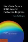 Cecilia M. Bailliet, Cecilia M. (Universitetet I Oslo) Bailliet, Cecilia M. Bailliet, Bailliet Cecilia M. - Non-State Actors, Soft Law and Protective Regimes