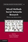 Silvia Hollstein Dominguez, Silvia Dom'nguez, Silvia Dominguez, Silvia Domínguez, Betina Hollstein, Bettina Hollstein - Mixed Methods Social Networks Research