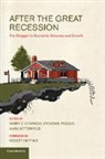 Barry Z. Fazzari Cynamon, Barry Z. Cynamon, Cynamon Barry Z., Steven Fazzari, Mark Setterfield, Setterfield Mark - After the Great Recession