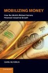 Caroline Fohlin, Caroline (The Johns Hopkins University) Fohlin, Fohlin Caroline - Mobilizing Money