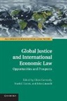 Chi Carmody, Chi Garcia Carmody, Chi Carmody, Carmody Chi, Frank J. Garcia, Garcia Frank J.... - Global Justice and International Economic Law