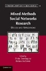 Silvia Dom¿uez, Silvia Dominguez, Silvia Hollstein Dominguez, Silvia Dominguez, Silvia Domínguez, Betina Hollstein... - Mixed Methods Social Networks Research