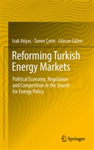 Iza Atiyas, Izak Atiyas, Tame Cetin, Tamer Cetin, Gurcan Gulen - Reforming Turkish Energy Markets