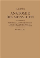 Herman Braus, Hermann Braus, Curt Elze - Periphere Leitungsbahnen II Haut und Sinnesorgane Vegetatives Nervensystem