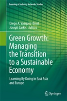 Dieg A Vazquez-Brust, Diego A Vazquez-Brust, Sarkis, Sarkis, Joseph Sarkis, Diego A. Vazquez-Brust - Green Growth: Managing the Transition to a Sustainable Economy
