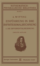 Alexander Witting - Einführung in die Infinitesimalrechnung