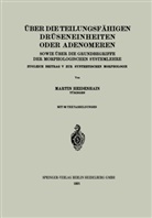 Martin Heidenhain - Über die teilungsfähigen Drüseneinheiten oder Adenomeren, sowie über die Grundbegriffe der morphologischen Systemlehre