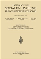 Alexande Alexander, Alexander Alexander, Adol Gottstein, Adolf Gottstein, Schlossmann, Arthur Schlossmann... - Gewerbehygiene und Gewerbekrankheiten