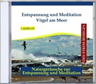Entspannung und Meditation Vögel am Meer, 1 Audio-CD (Hörbuch)