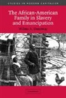 Wilma A. Dunaway, Wilma A. (Virginia Polytechnic Institute Dunaway, Maurice Aymard, Jacques Revel - African-American Family in Slavery and Emancipation