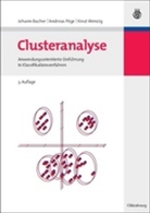 Johan Bacher, Johann Bacher, Andrea Pöge, Andreas Pöge, Knut Wenzig - Clusteranalyse