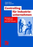 Jürge Bauer, Jürgen Bauer, Egbert Hayessen - Controlling für Industrieunternehmen