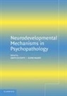 Dante Cicchetti, Dante (University of Rochester Cicchetti, Dante Walker Cicchetti, Elaine Walker, Dante Cicchetti, Elaine F. Walker - Neurodevelopmental Mechanisms in Psychopathology