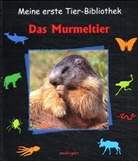 Dominique Simon, Serge Simon, Valérie Tracqui, Dominique Simon, Serge Simon - Meine erste Tier-Bibliothek: Das Murmeltier