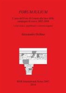 Alessandro Delfino - Forum Iulium L area Del Foro DI Cesare Alla Luce Delle Campagne DI