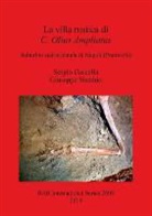 Sergio Cascella, Sergio Vecchio Cascella, Giuseppe Vecchio - La Villa Rustica DI C. Olius Ampliatus
