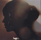 Tina Dico - Whispers, 1 Audio-CD (Audio book)