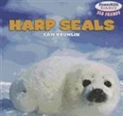 Sam Drumlin - Harp Seals