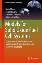 Dari Marra, Dario Marra, Cesar Pianese, Cesare Pianese, Pierpaolo Polverino, Marco Sorrentino - Models for Solid Oxide Fuel Cell Systems