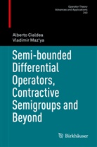 Albert Cialdea, Alberto Cialdea, Vladimir Maz'ya - Semi-bounded Differential Operators, Contractive Semigroups and Beyond