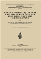 Richard Arwed Pfeifer, Foerster, O Foerster, O. Foerster, Wilmanns, Wilmanns... - Myelogenetisch-Anatomische Untersuchungen Über den Zentralen Abschnitt der Sehleitung
