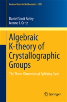 Daniel Scot Farley, Daniel Scott Farley, Ivonne J. Ortiz, Ivonne Johanna Ortiz - Algebraic K-theory of Crystallographic Groups