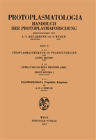 Erns Küster, Ernst Küster, Adrianus D J Meeuse, Adrianus D. J. Meeuse, Adrianus D.J. Meeuse, Lott Reuter... - Cytoplasmastruktur in Pflanzenzellen - Intravakuoläres Protoplasma - Plasmodesmata (Vegetable Kingdom)