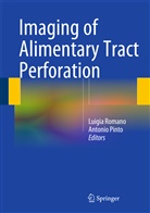 Pinto, Pinto, Antonio Pinto, Luigi Romano, Luigia Romano - Imaging of Alimentary Tract Perforation
