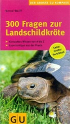 Bernd Wolff - 300 Fragen zur Landschildkröte