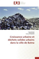 Mebarek Djebabra, Mahd Kalla, Mahdi Kalla, Lind Sefouhi, Linda Sefouhi - Croissance urbaine et dechets