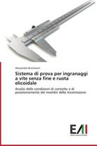 Alessandro Burchianti - Sistema di prova per ingranaggi a vite senza fine e ruota elicoidale
