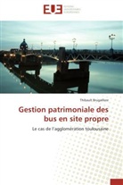 Thibault Brugaillere, Brugaillere-t - Gestion patrimoniale des bus en