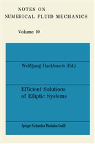 Wolfgang Hackbusch - Efficient Solutions of Elliptic Systems