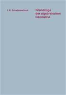 Igor' R. ¿Afarevi¿, Igor' R Safarevic, Igor R. Safarevic, Igor' R. safarevic, Igor R. Schafarewitsch - Grundzüge der algebraischen Geometrie