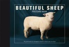 Ivy Press, Ivy Press - BEAUTIFUL SHEEP POSTCARD BOOK