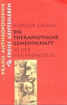 Rüdiger Grimm - Die therapeutische Gemeinschaft in der Heilpädagogik